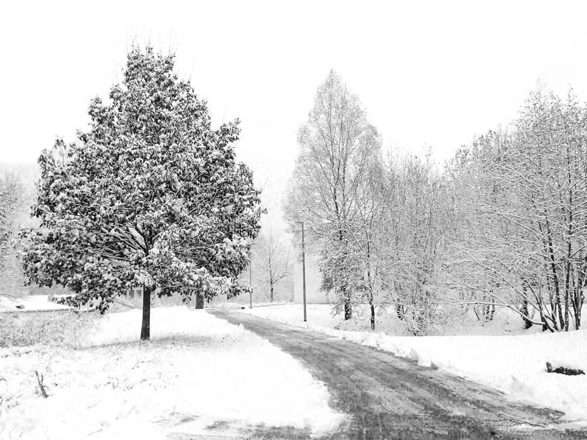 winter is coming