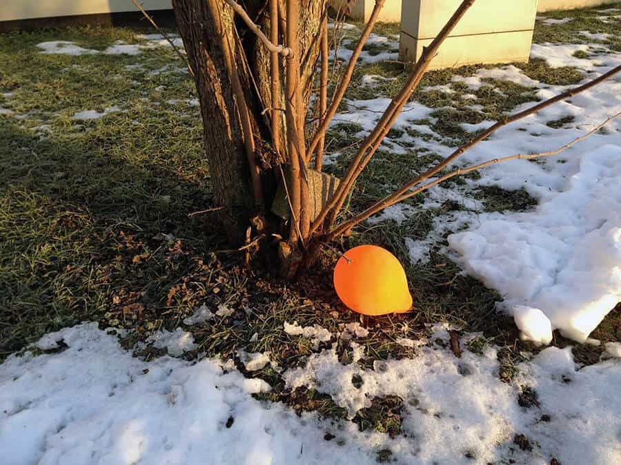 Raus aus der Wohnung um einzukaufen. Ein Luftballon liegt auf dem Weg.