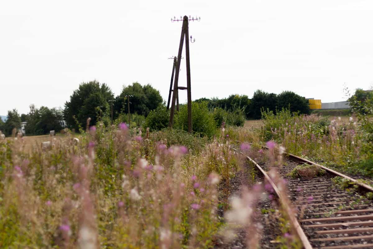 Hunsrück Gleise
