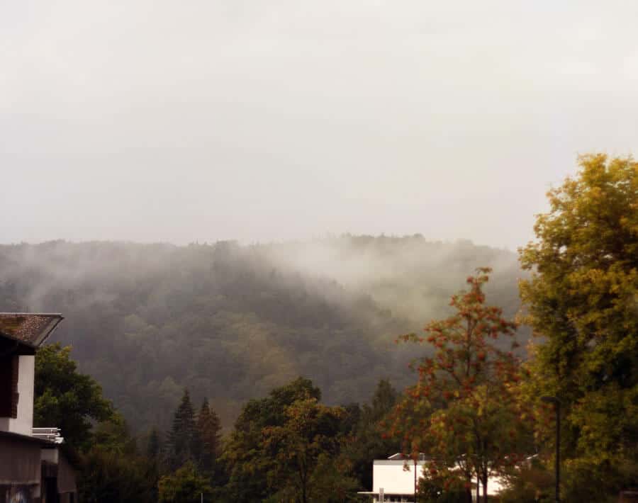 .. am Nebel vorbei..