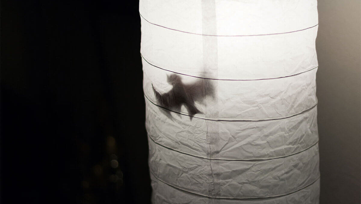 Feldermäuse in der Lampe