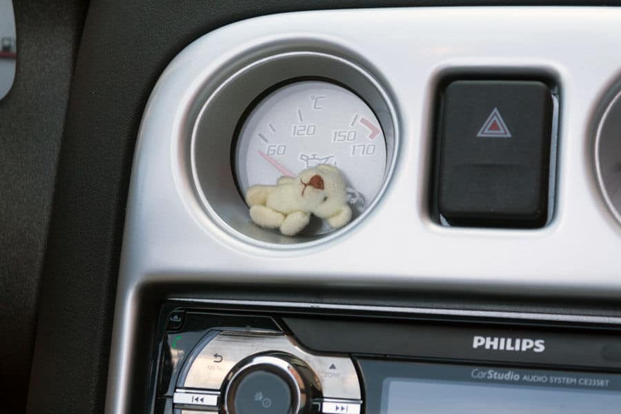 Das kleine Bärchen, welches immer im Auto schläft. Ich hatte zwei Bärchen aus einem Spielzeuggeschäft in Prag gekauft. Meins hat leider schon einen Arm verloren :(.