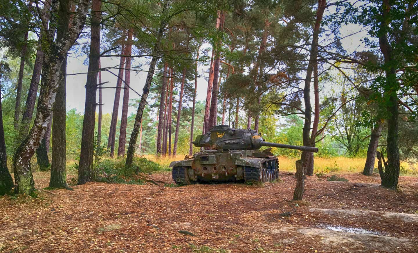 Panzer im Wald