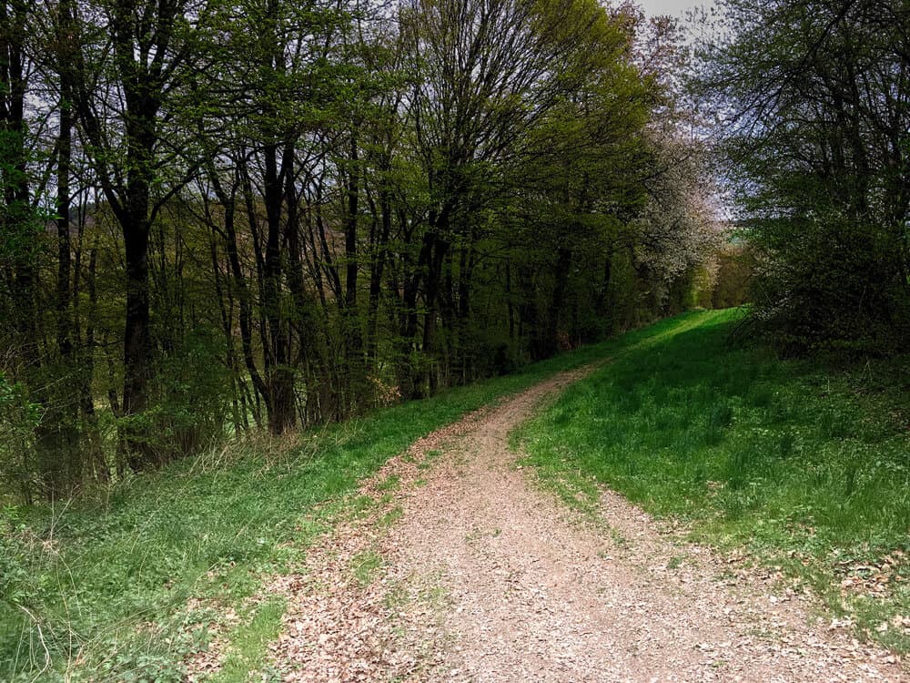 Mit der Mama einen Spaziergang durch den Wald gemacht.