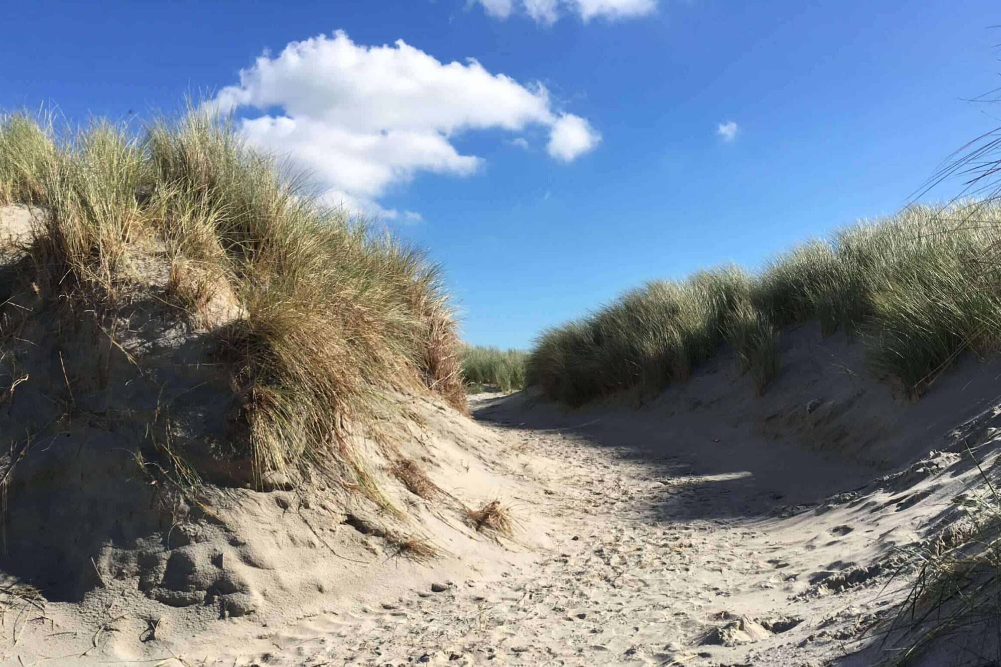 Dünen Ameland