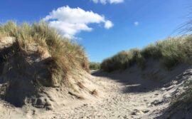 Dünen Ameland
